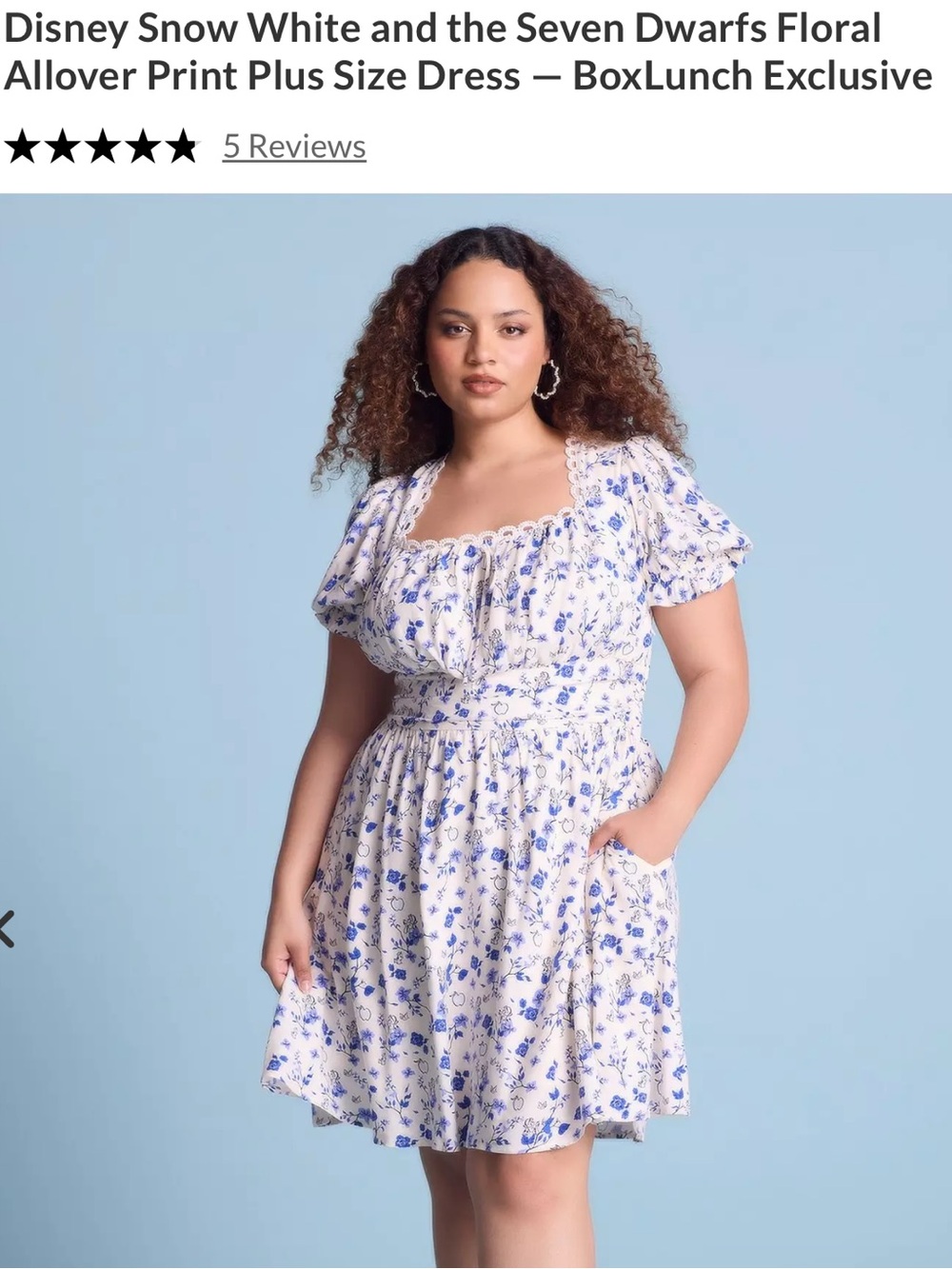 Plus size Disney Dress